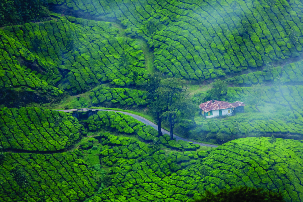 munnar samaisonzen
